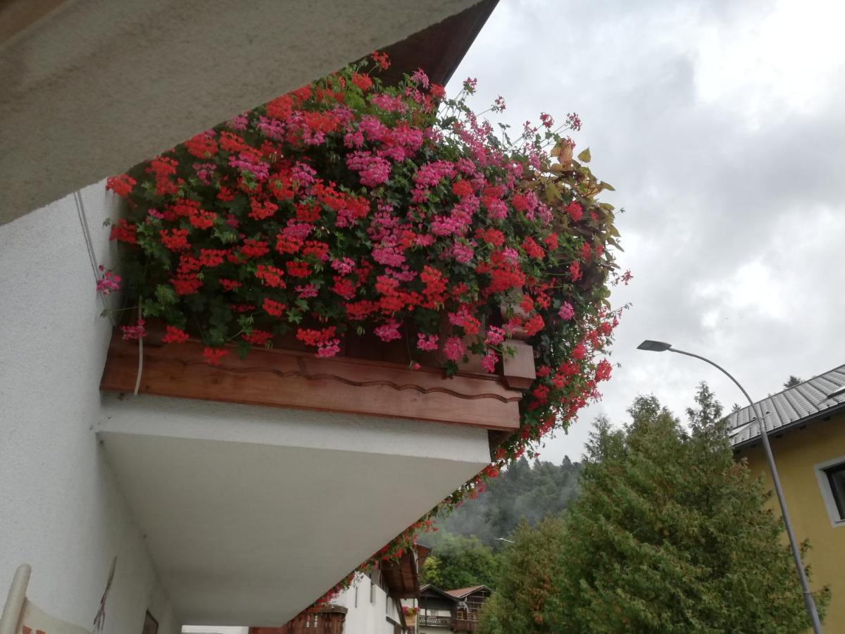 Haus Georg Daire İnnsbruck Dış mekan fotoğraf